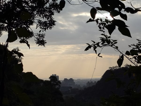 朝聖抹茶山2949474