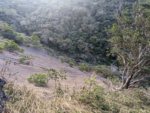 防護措施完善的五星級步道：里龍山(小百岳#80)1535923