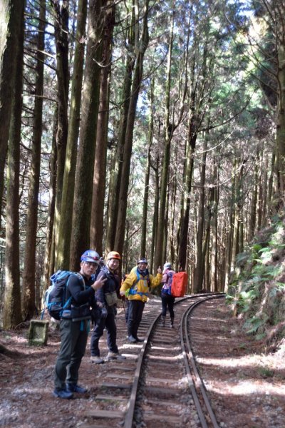 阿里山眠月線20211229-301618038