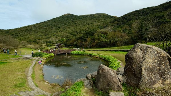 20260125 陽明山前後山健行(無極天元宮~山仔頂步道.向天池.向天山.面天山.二子坪)2998052