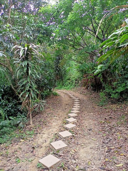 【小百岳集起來】  #016 福地洞天的烘爐地登山步道/南勢角山 H302m1333910