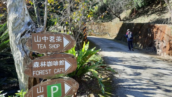 《新竹》幸福雲海｜鵝公髻山步道X山上人家202211051900096