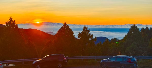 #太平山 #望洋山 #觀雲步道 #日出 #雲海 11/82931216