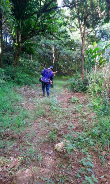 鵲子山小百岳（山神土地公—清修宮）O走1068259