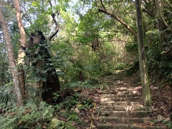 士林區礁坑橋+平溪步道+鵝尾山水田步道+大坪尾山+平菁步道O型2995884