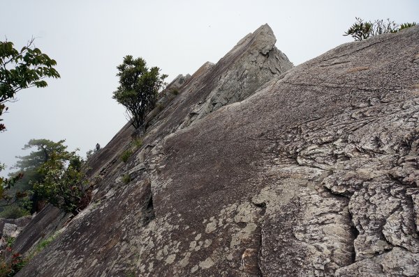 台中和平鳶嘴山封面