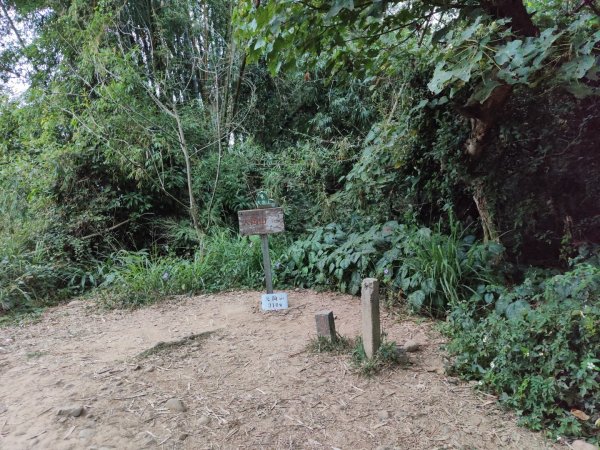 2023.12.23 高雄大崗山2834933