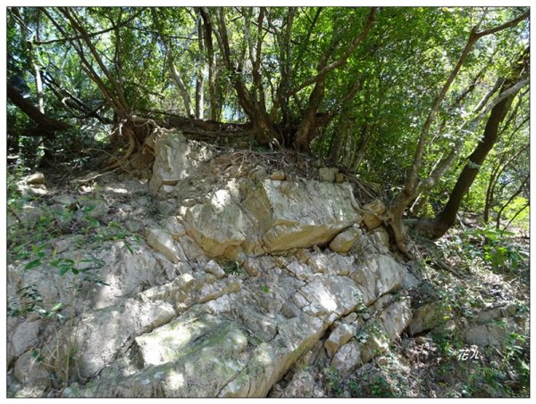 沙蓮山西南峰、砂連山連走(台中/和平)1664181