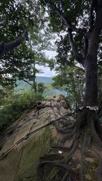 大雨後🙄2845401