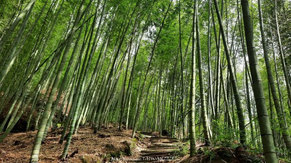 《雲林》望好望角｜石壁山嘉南雲峰步道(中側登山口）202506072805440