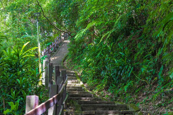 [台北]虎山親山步道、九五峰、南港山2911306