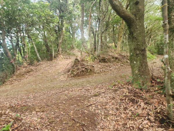 火燒寮山熊空山竹坑山加九嶺O型2966278