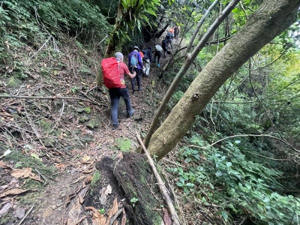 雙港仔群峰2794250