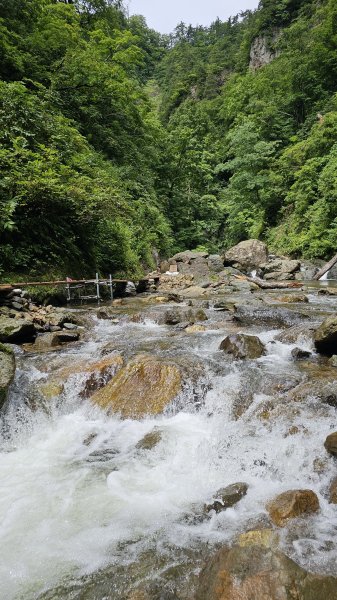 240814-白神山地世界自然遺產地域。美美兔不能錯過的日本東北健行路線。2603910