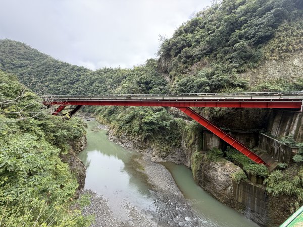 登仙橋賞猴2704801