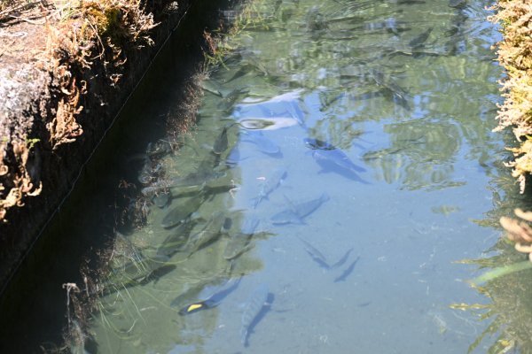 2025_0628 溪瀧步道2824971