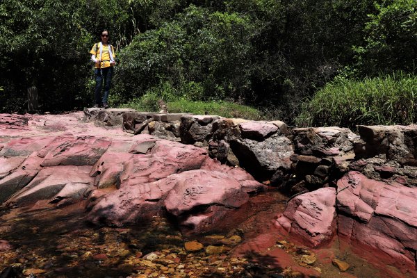 HK - 牛屎湖1046157
