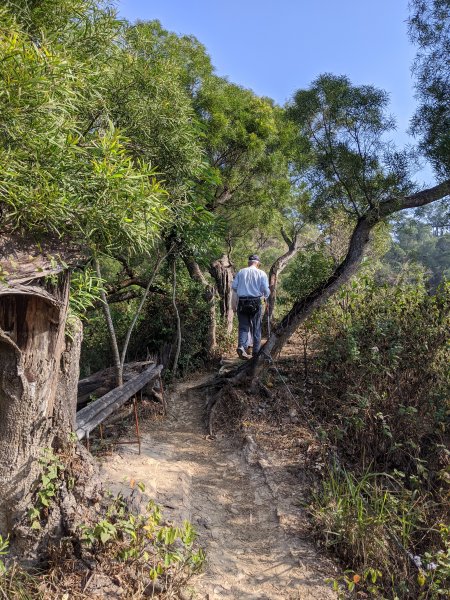 【高雄-小百岳】觀音山_稜線連峰O型縱走796555