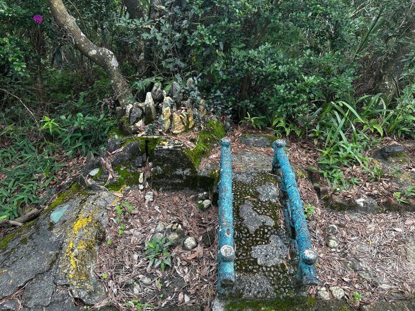 內湖鯉魚山之旅2811736