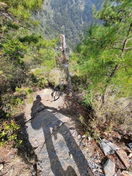 20260315-玉山前峰3018724