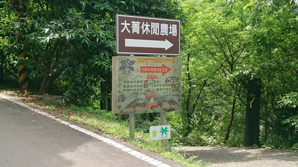 20200502淡蘭中路經五分山到十分1625293