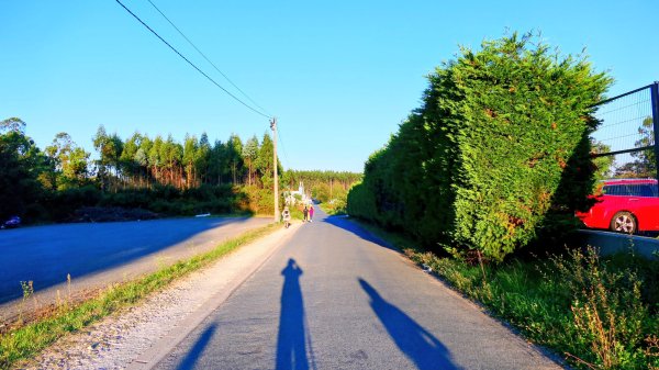 西班牙朝聖法國之路115KM, Day83126228