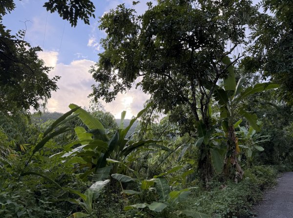 2025_1018 花蓮縣鳳林鎮鳳凰瀑布2921365