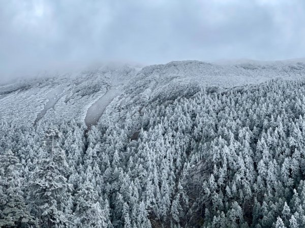 絕美銀白世界 玉山降下今年冬天「初雪」1235925