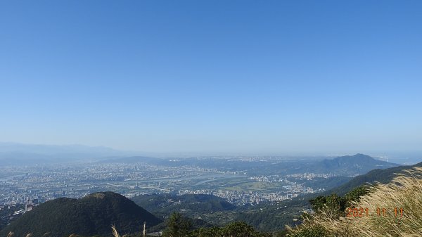 秋高氣爽芒花季再度陽明山天際線-七星山主東峰+大屯山主南西峰向天面天山O型+小觀音山主西南峰共10峰1511071