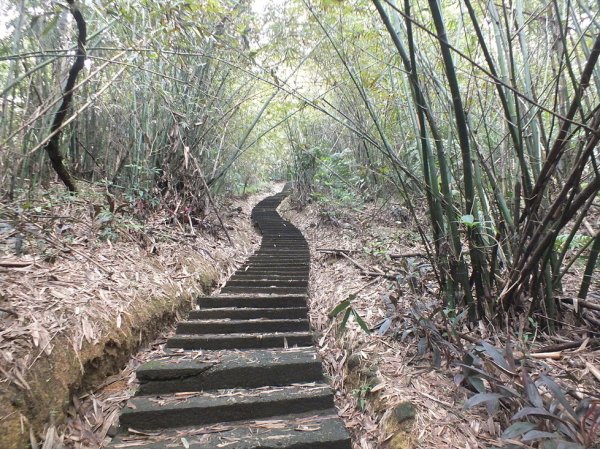 【新北市】四股埤、錦峰山、基隆河星光橋