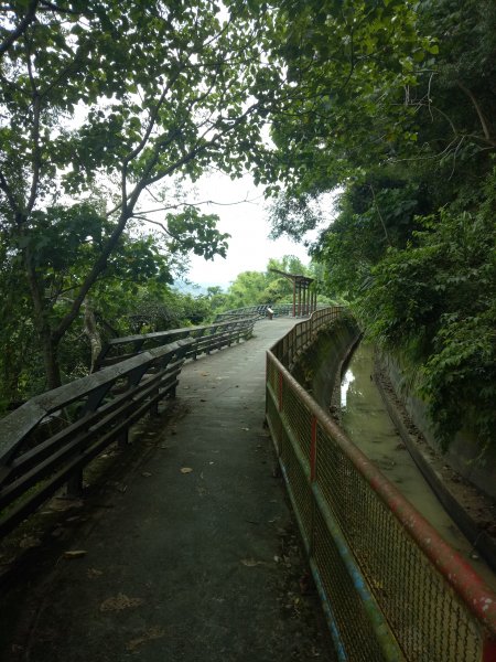 大雪山林道出雲山分桂林山+石岡電火圳生態步道1853588