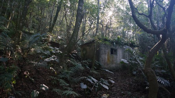 三角崙山 五峰旗瀑布連走1261136