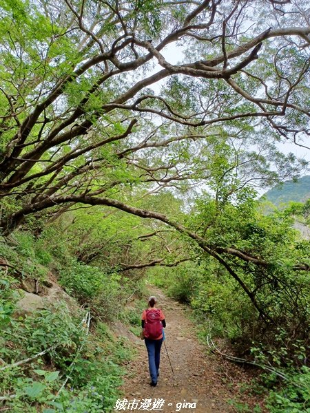 【屏東獅子】山海相望。 小百岳集起來。 編號80小百岳~里龍山自然步道1734666