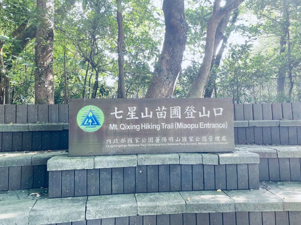 20261009 菁苗步道（苗圃登山口-菁山自然中心-前山公園）3133895