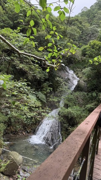 20250811未竟之小百岳里龍山2858806