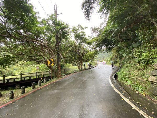 《2025草嶺古道芒花季｜雨天版完整攻略 × 七顆寶石路線實走》2949320