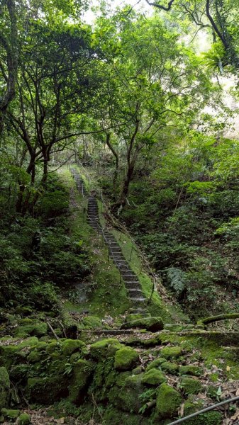 孝子山步道 (慈母峰+普陀山)2773603