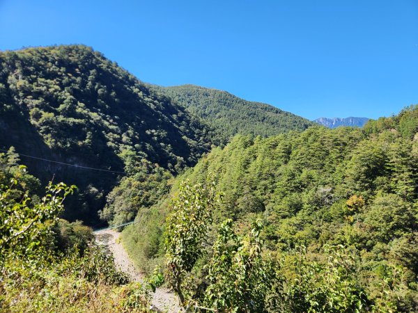 【中級山】馬武霸山，實至名歸的百岳觀景台2937760
