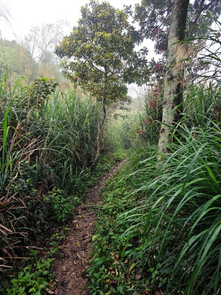 2026年臺北大縱走第六段：中華科技大學至捷運麟光站3026036