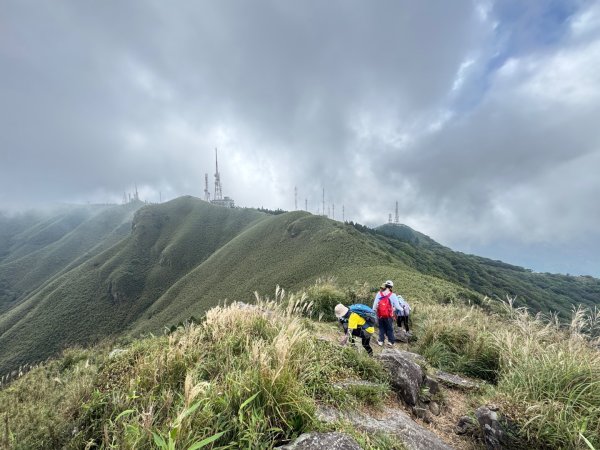 小觀音西峰 二子坪步道 小油坑山3129487