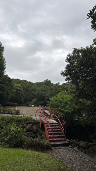 紗帽雲海3074324