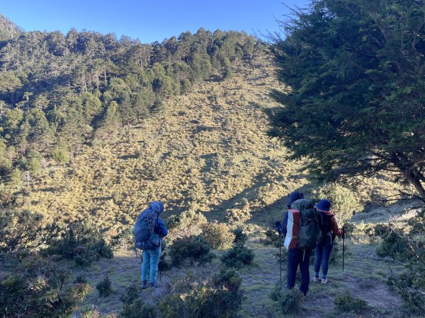 干卓萬橫斷 2024 11/29 四天三夜2865571