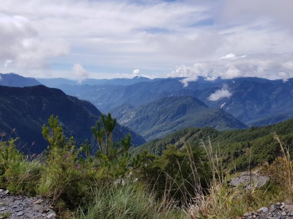 高雄/台東-南橫三星-塔關山3053689