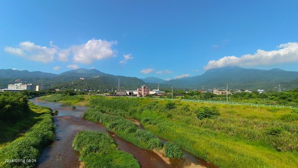 雲山水花鳥蝶 - 天龍國阿伯的日常7/18 & 21、22、292554028