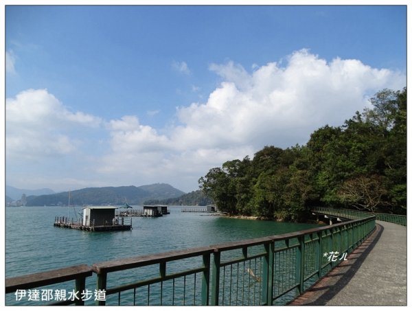 日月潭/水蛙頭步道765490