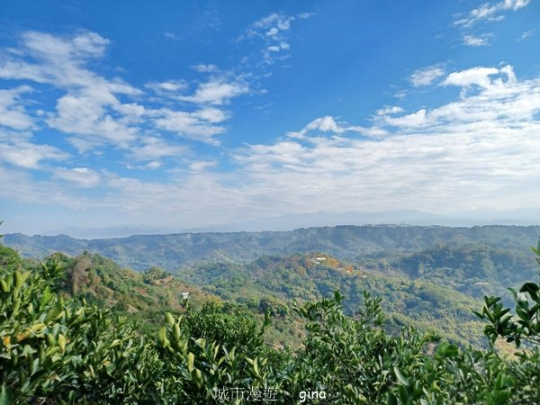 【台中潭子】蜿蜒步道賞風景。 No40小百岳~聚興山、新田登山步道2425981