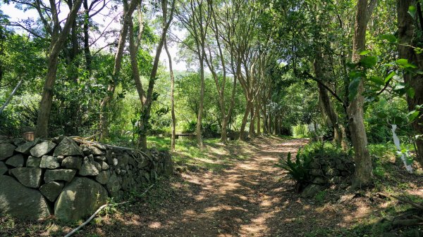 水磨坑古道,竹林古道2561793