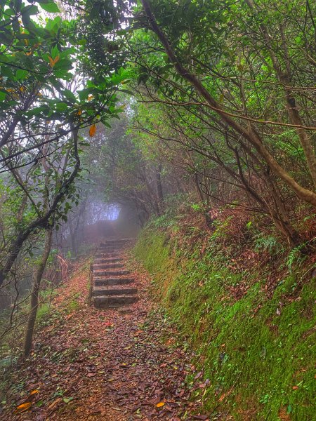 小百岳6 雞籠山 基隆山1980427