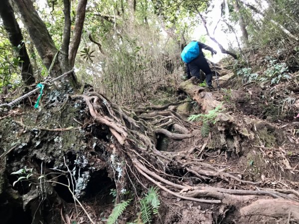 嘎色鬧走那結山1370947