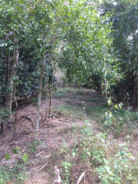 20220305高雄兔和山1633581